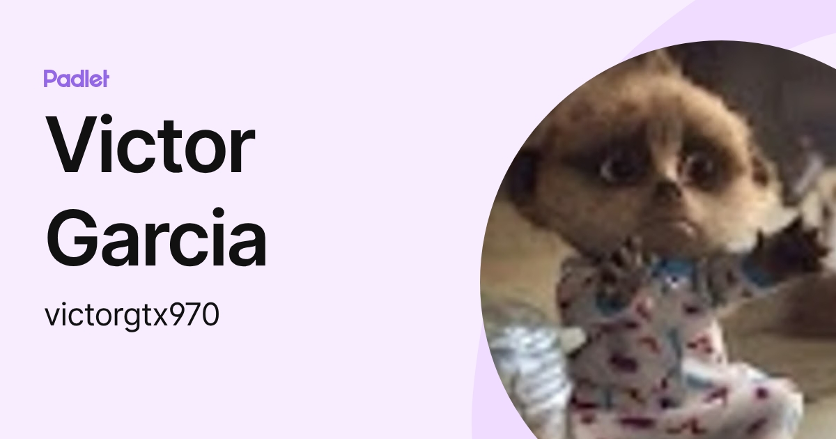 Victor Garcia (victorgtx970) profile | Padlet