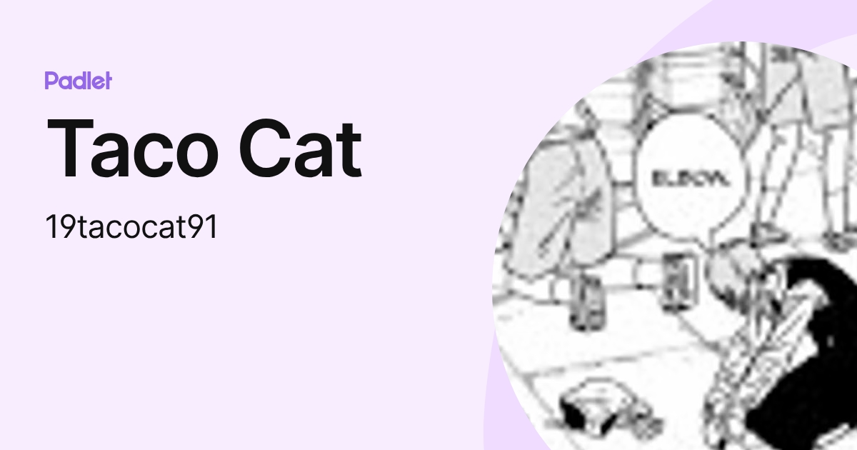 Taco Cat (19tacocat91) profile | Padlet