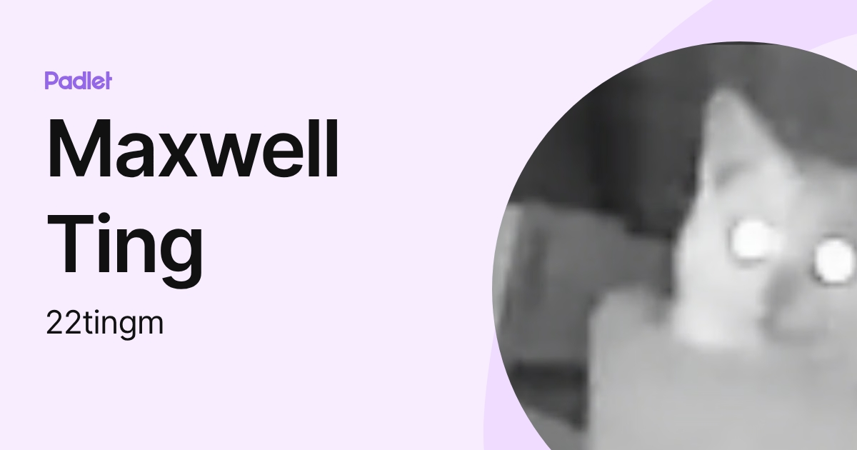 Maxwell Ting (22tingm) profile | Padlet
