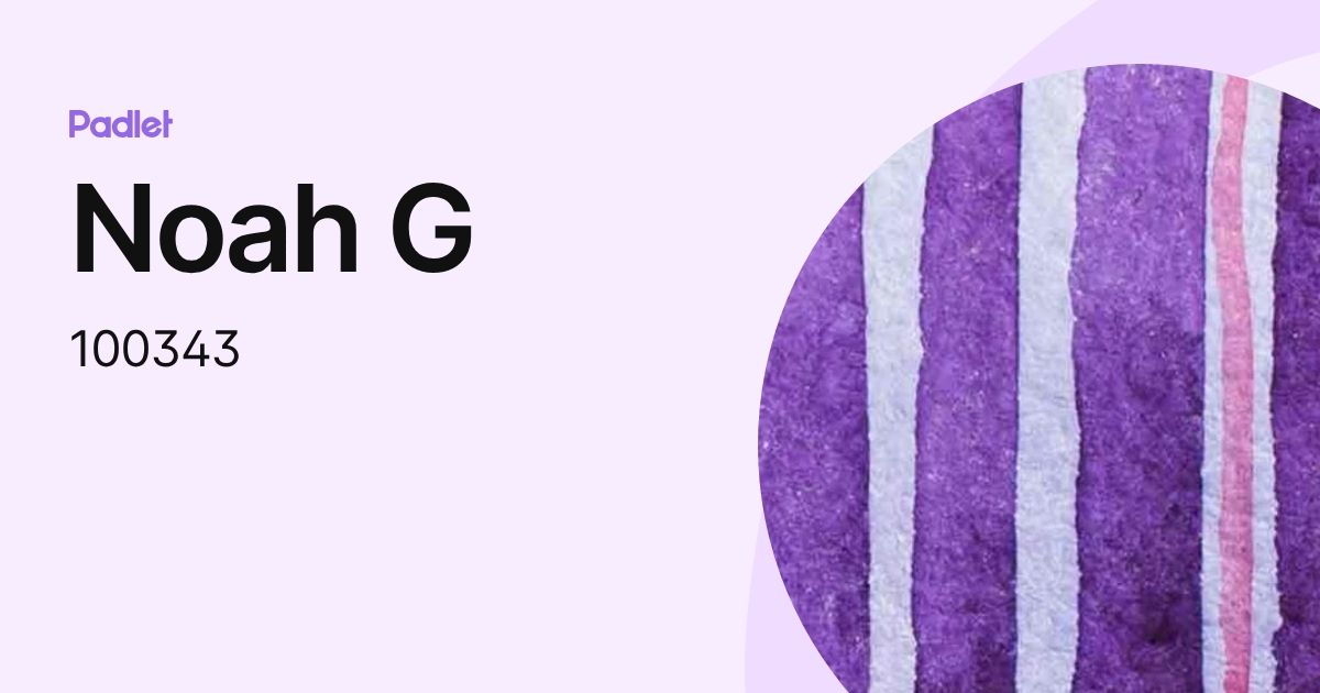 Noah G (100343) profile | Padlet