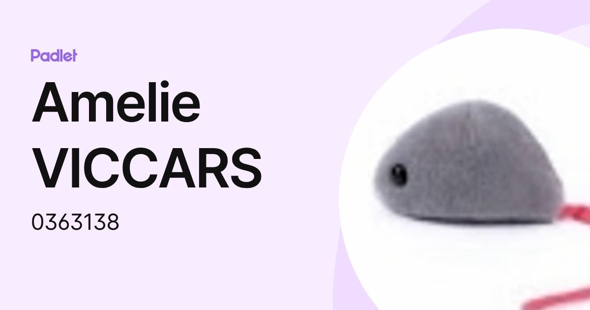 Amelie VICCARS (0363138) profile | Padlet