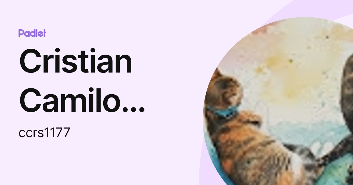 Cristian Camilo Rojas Sepulveda (ccrs1177) profile | Padlet