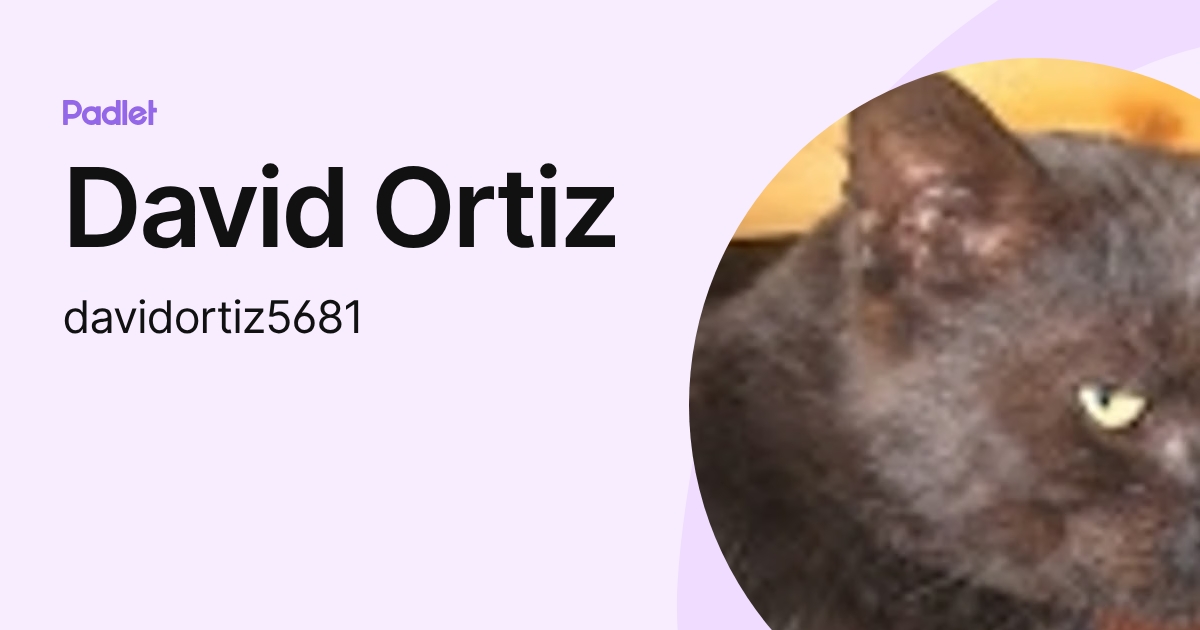 David Ortiz (davidortiz5681) profile | Padlet