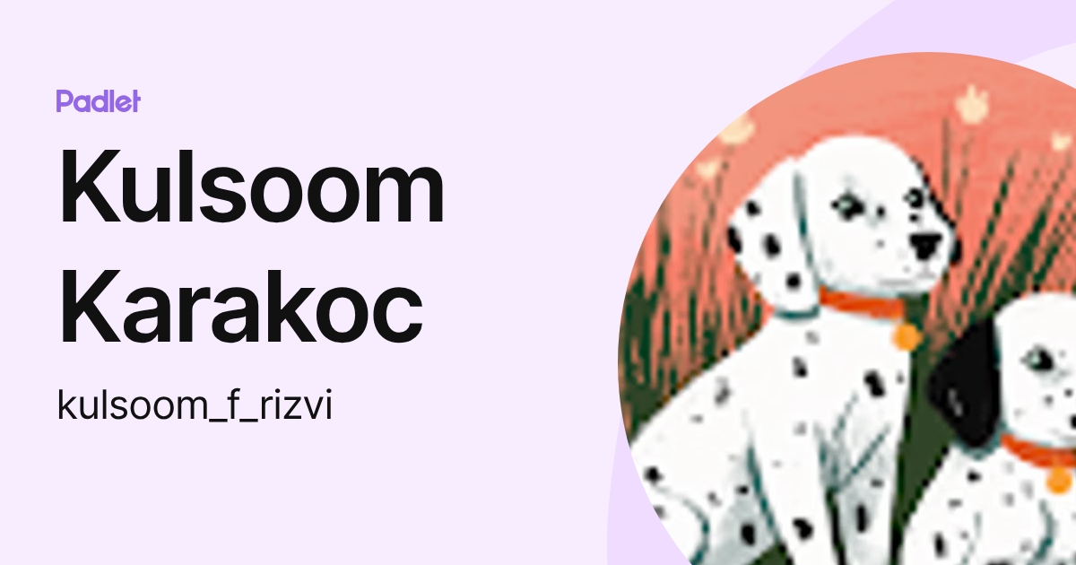 Kulsoom Karakoc (kulsoom_f_rizvi) profile | Padlet