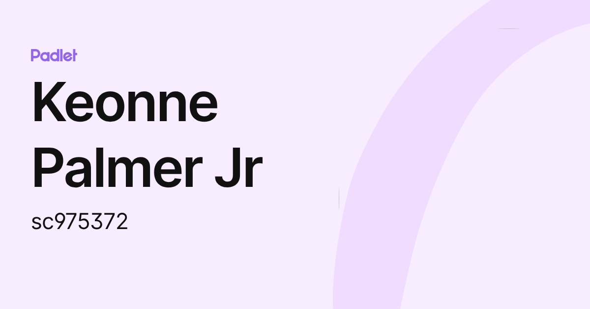 Keonne Palmer Jr (sc975372) profile | Padlet
