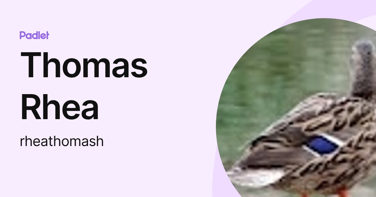 Thomas Rhea (rheathomash) profile | Padlet