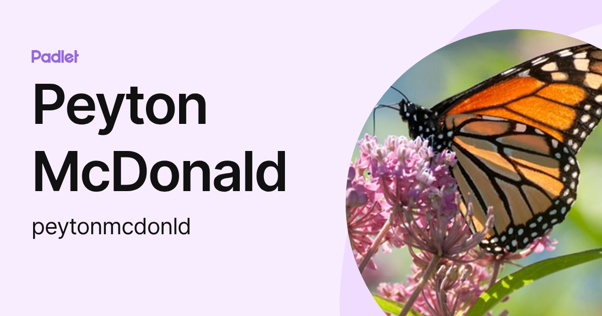 Peyton McDonald (peytonmcdonld) profile | Padlet