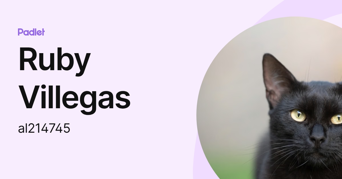 Ruby Villegas (al214745) profile | Padlet