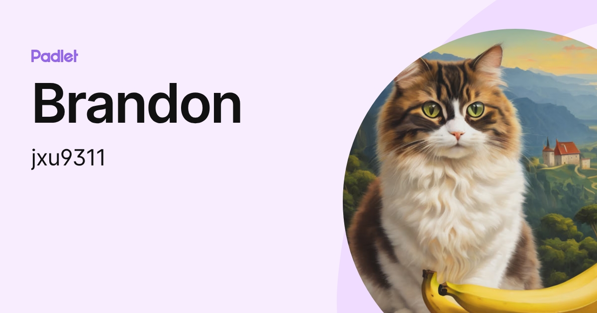Brandon (jxu9311) profile | Padlet