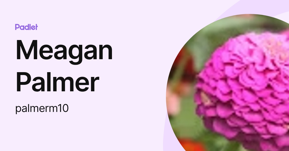 Meagan Palmer (palmerm10) profile | Padlet