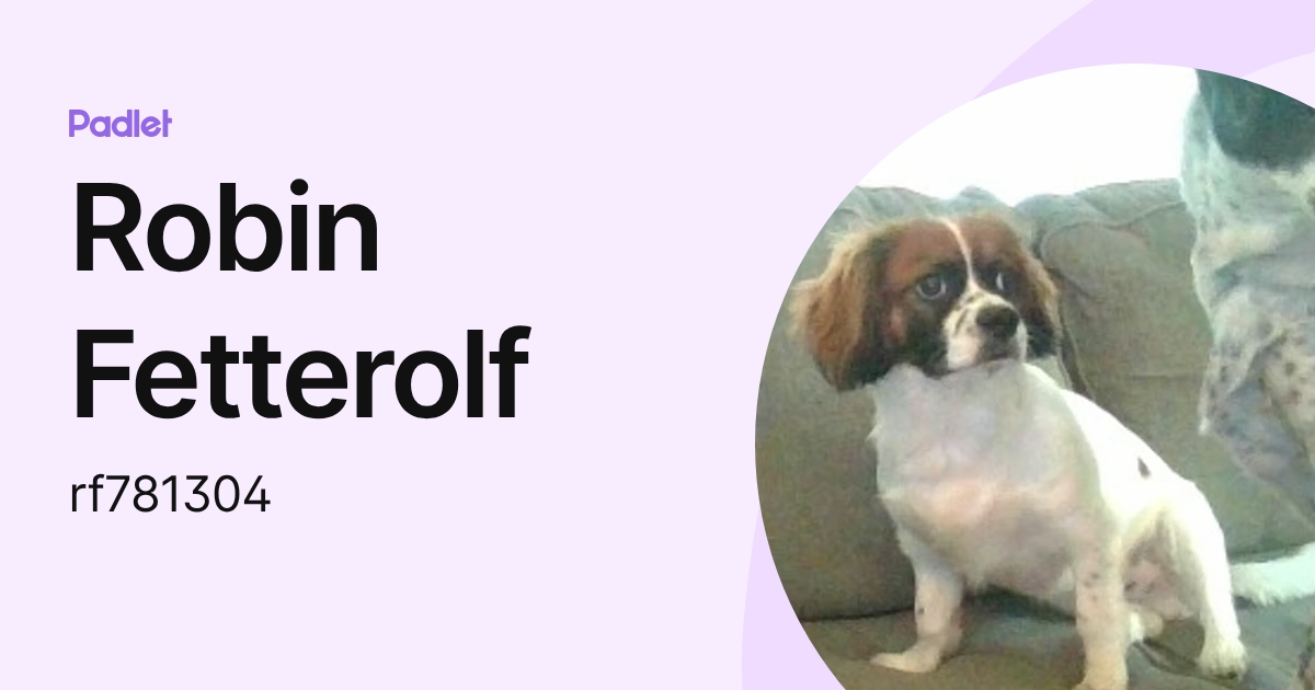 Robin Fetterolf (rf781304) profile | Padlet