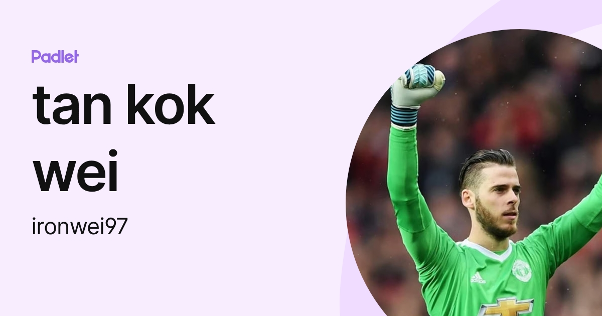 tan kok wei (ironwei97) profile | Padlet