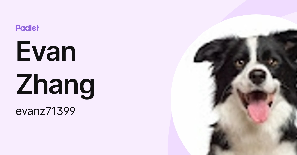 Evan Zhang (evanz71399) profile | Padlet
