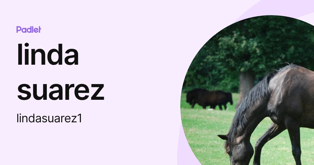 linda suarez (lindasuarez1) profile | Padlet