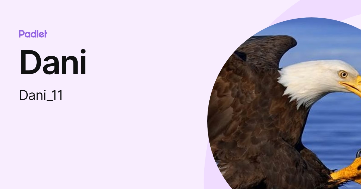 Dani (Dani_11) profile | Padlet