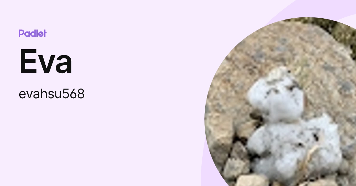 Eva (evahsu568) profile | Padlet