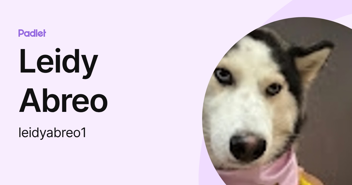 Leidy Abreo (leidyabreo1) profile | Padlet