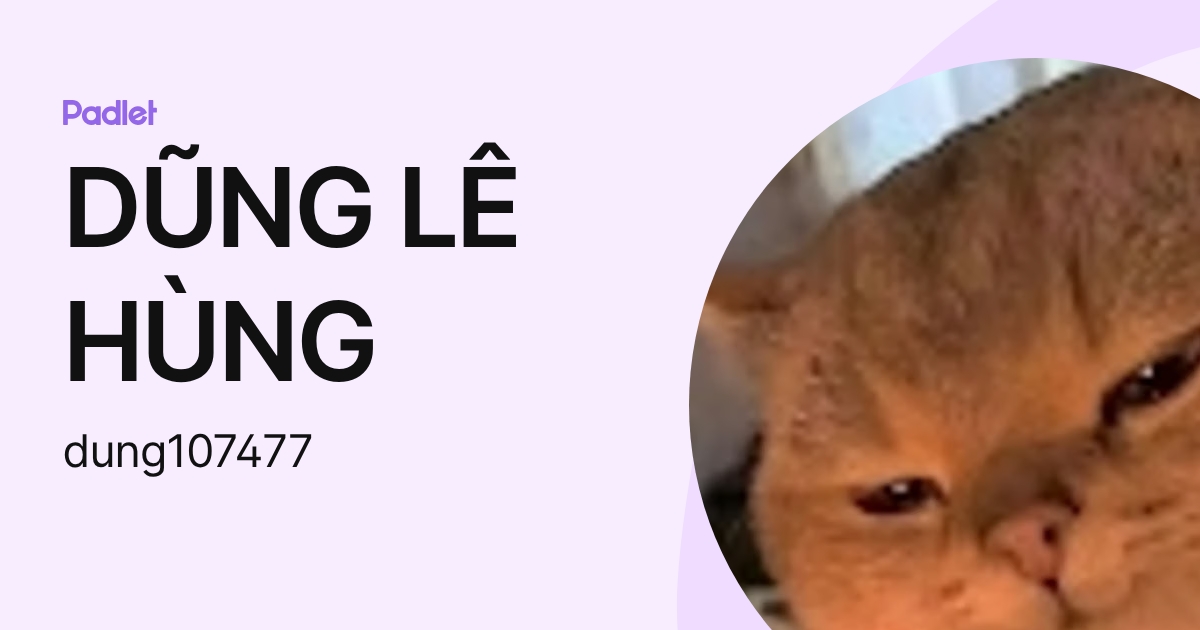 DŨNG LÊ HÙNG (dung107477) profile | Padlet