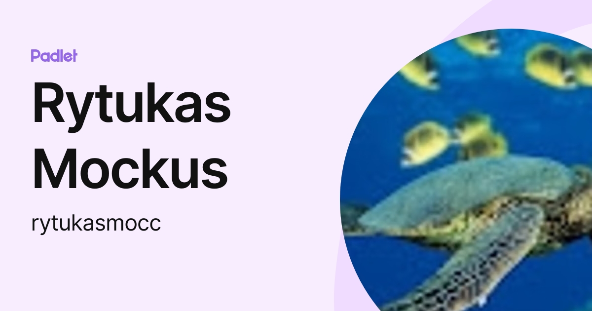Rytukas Mockus (rytukasmocc) profile | Padlet