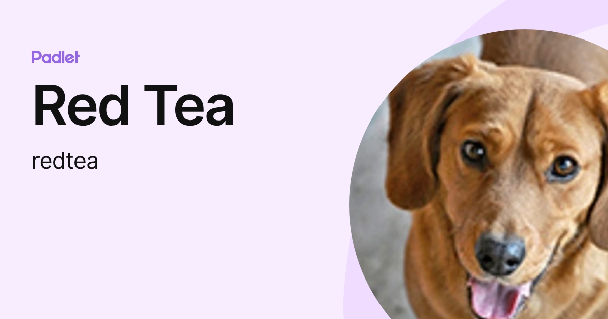 Red Tea (redtea) profile | Padlet