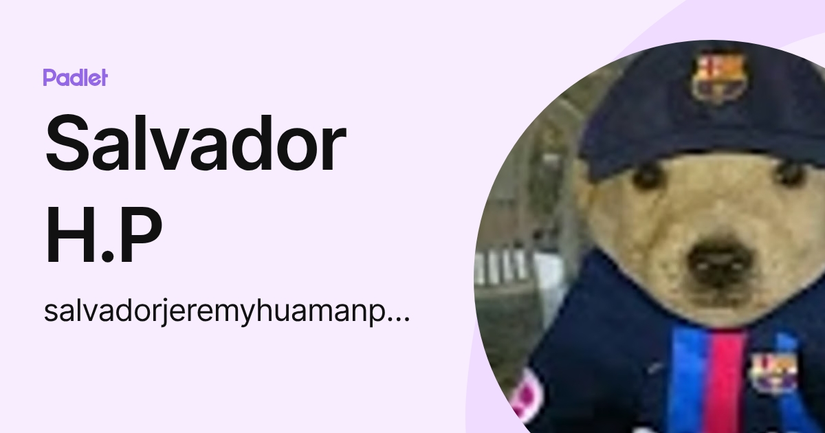 Salvador H.P (salvadorjeremyhuamanpuma) profile | Padlet