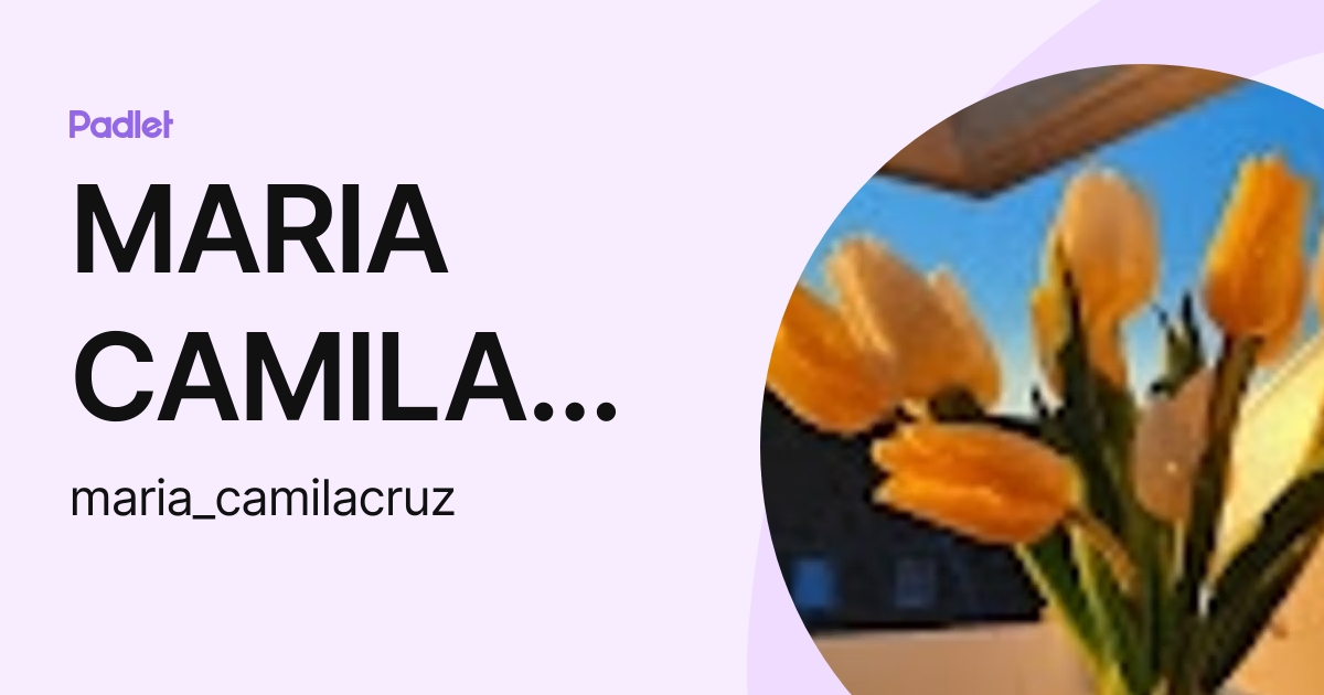 MARIA CAMILA CRUZ RUBIO (maria_camilacruz) profile Padlet