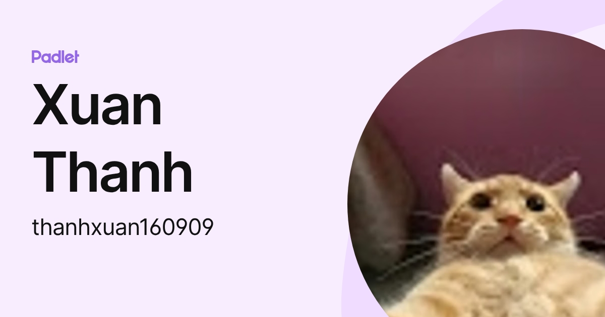 Xuan Thanh (thanhxuan160909) profile | Padlet
