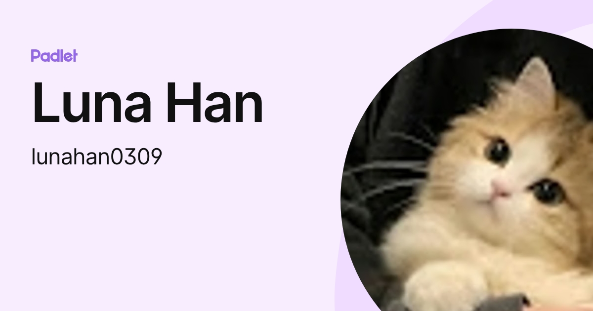 Luna Han (lunahan0309) profile | Padlet
