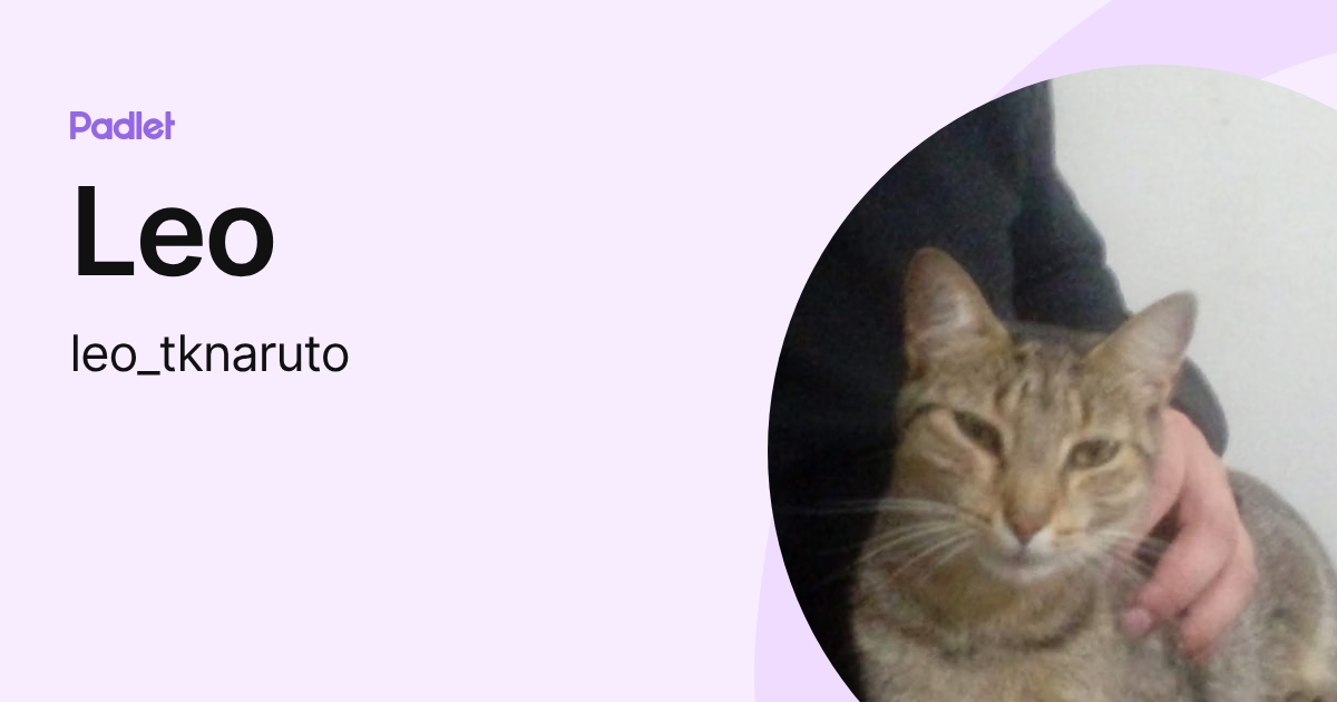 Leo (leo_tknaruto) profile | Padlet