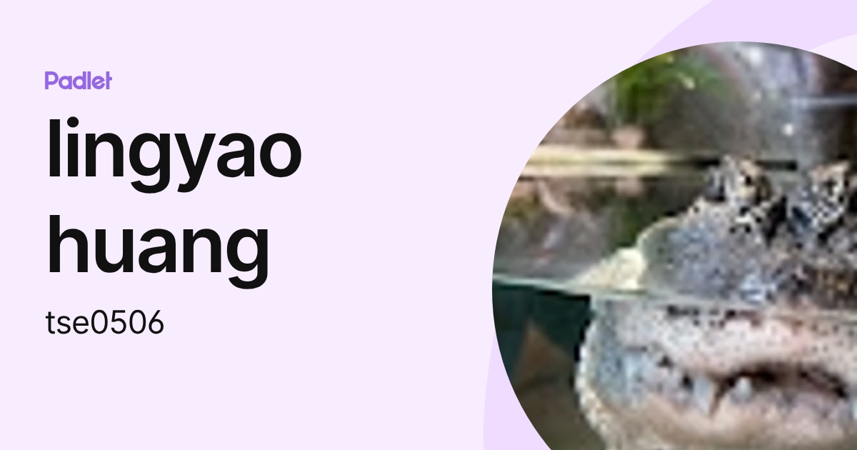 lingyao huang (tse0506) profile | Padlet