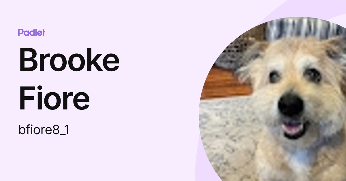 Brooke Fiore (bfiore4) profile | Padlet