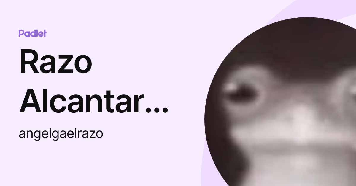 Razo Alcantara Angel_1lM2 (angelgaelrazo) profile | Padlet