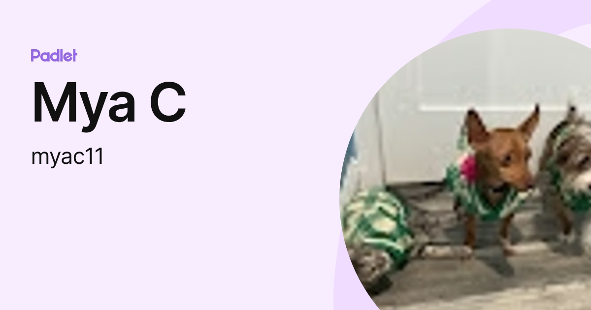 Mya C (myac11) profile | Padlet