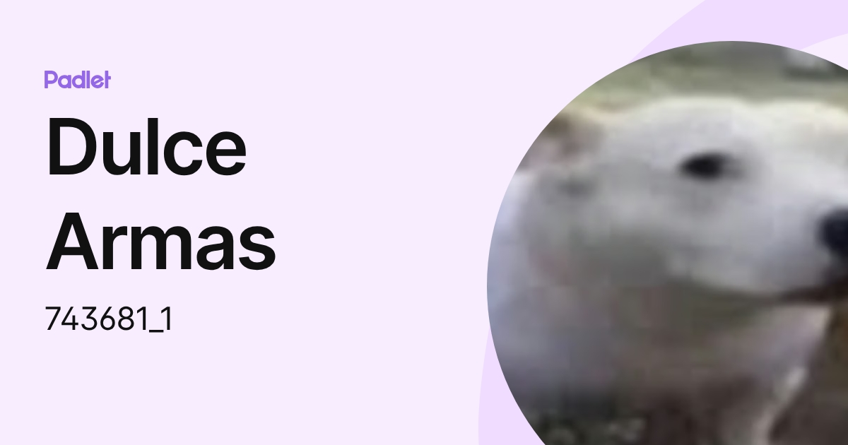 Dulce Armas (743681_1) profile | Padlet