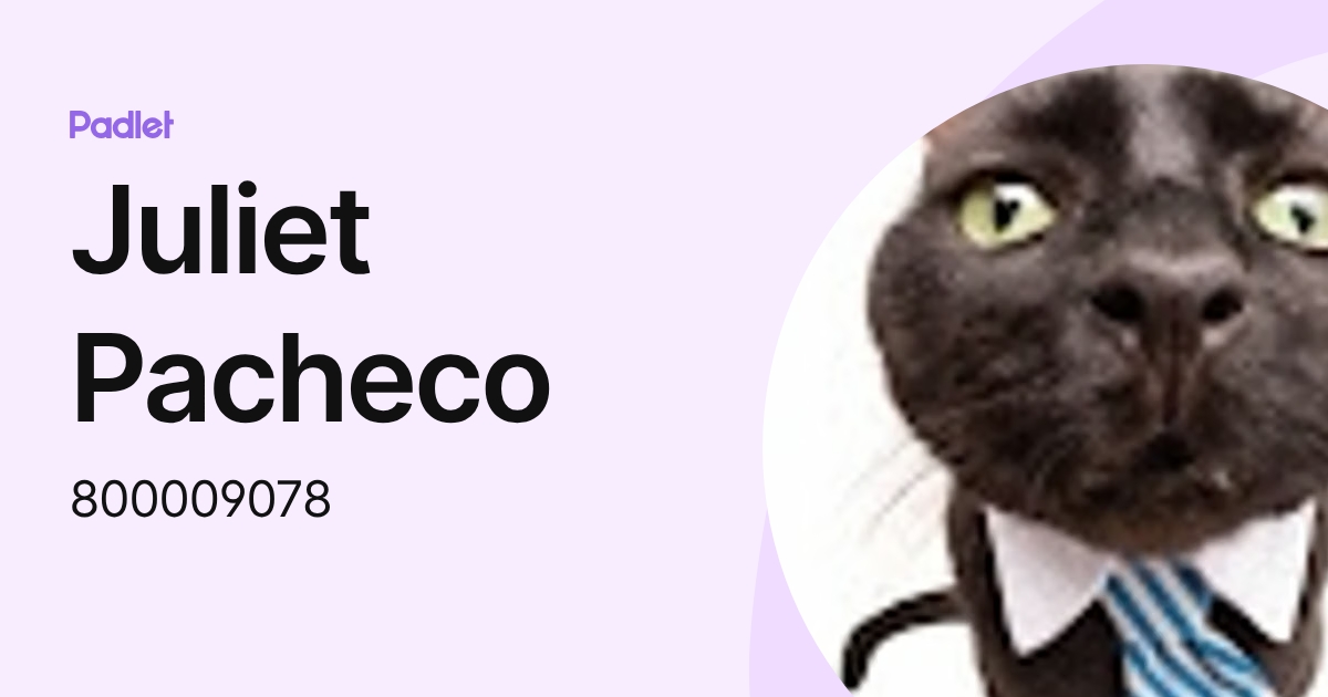 Juliet Pacheco (800009078) profile | Padlet