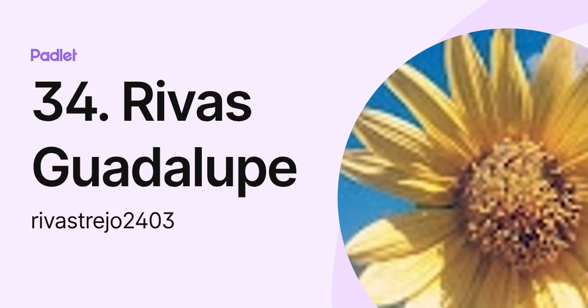 34. Rivas Guadalupe (rivastrejo2403) profile | Padlet