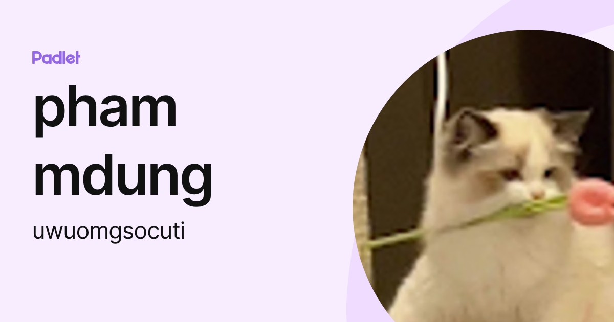 pham mdung (uwuomgsocuti) profile | Padlet