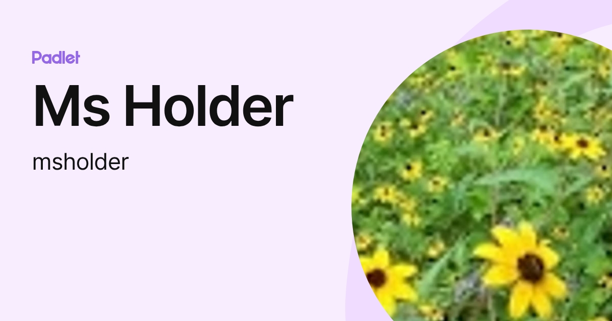 Ms Holder (msholder) profile | Padlet