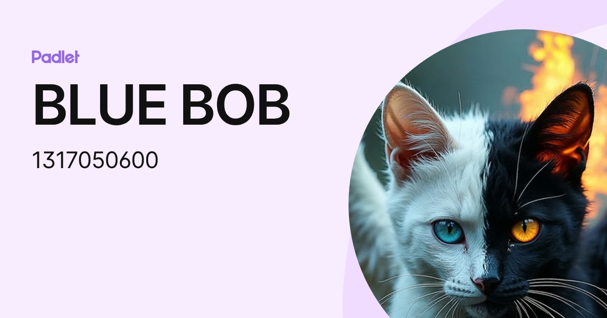 33Lito, Andrei Stanislav (1317050600) profile | Padlet