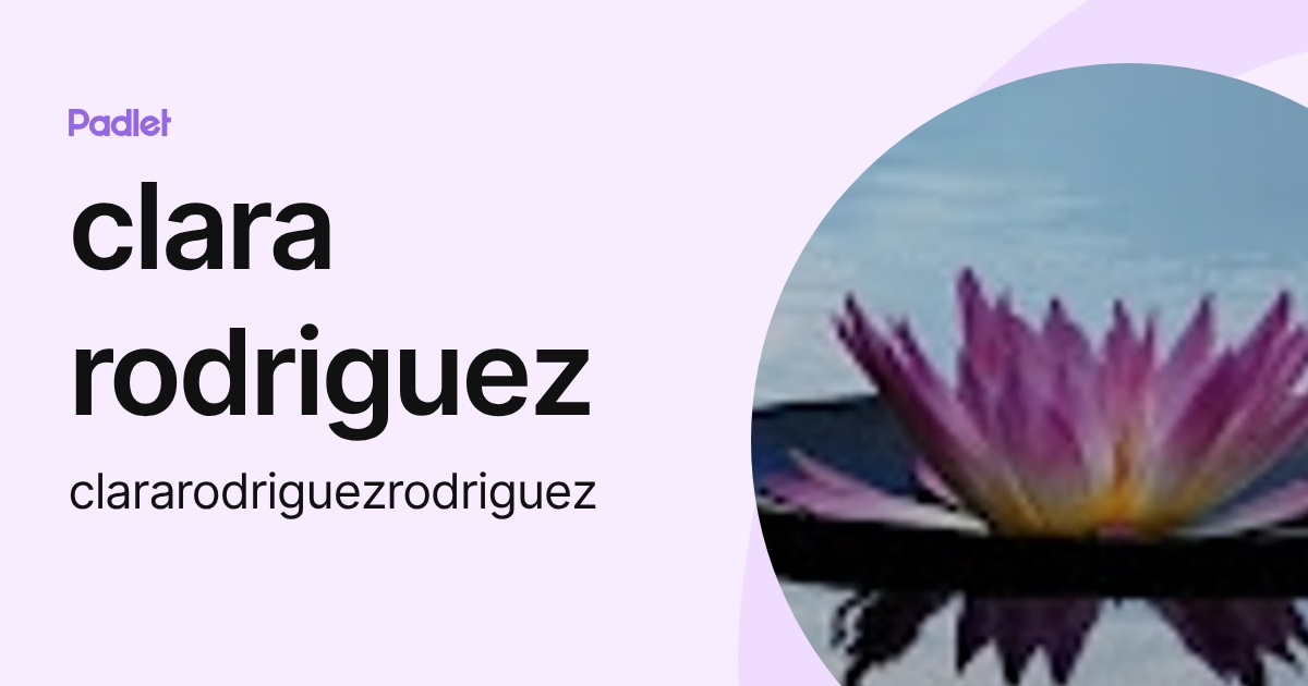 clara rodriguez (clararodriguezrodriguez) profile | Padlet