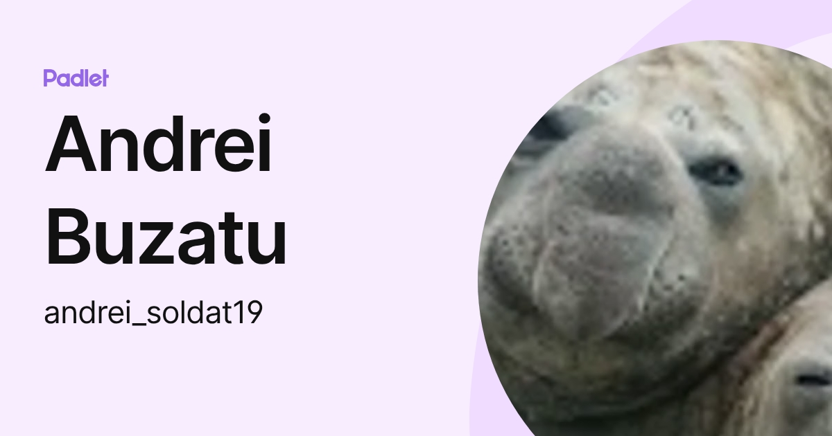 Andrei Buzatu (andrei_soldat19) profile | Padlet
