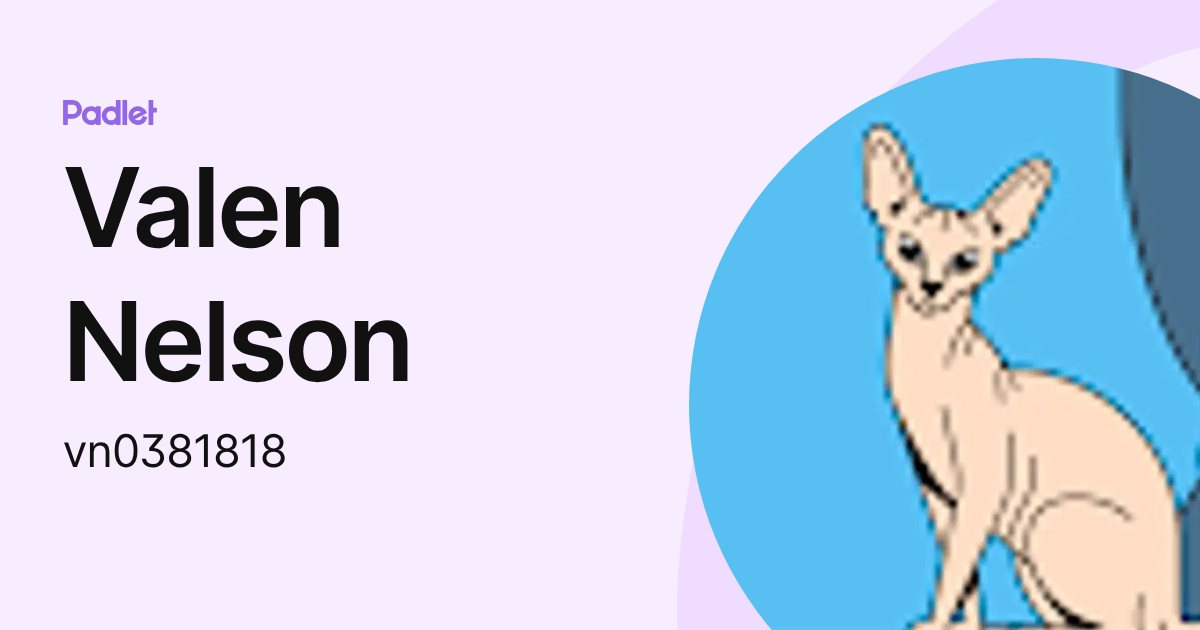Valen Nelson (vn0381818) profile | Padlet