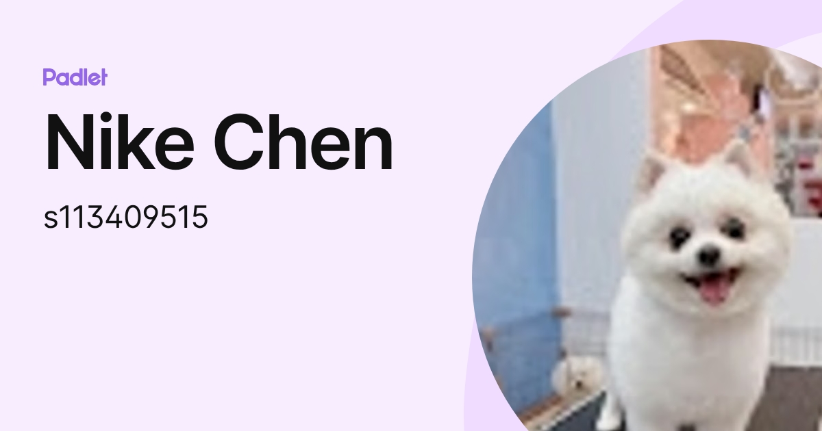 Nike Chen (s113409515) profile | Padlet