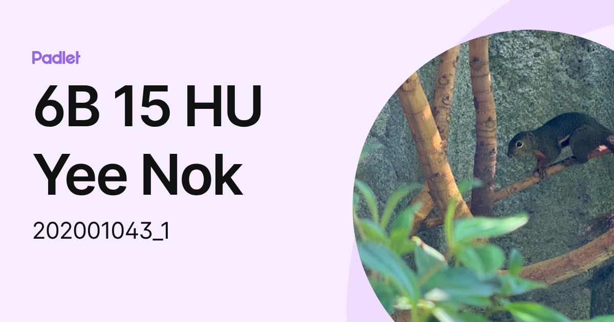 5B 15 HU Yee Nok (202001043_1) profile | Padlet