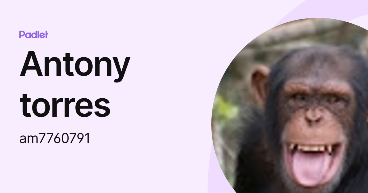Antony torres (am7760791) profile | Padlet