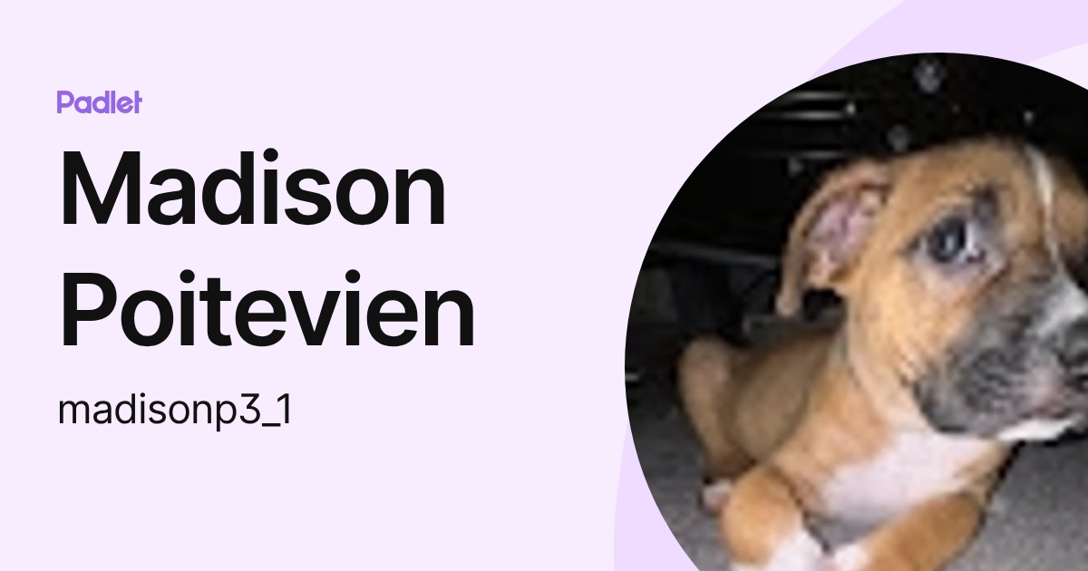 Madison Poitevien (madisonp3_1) profile | Padlet