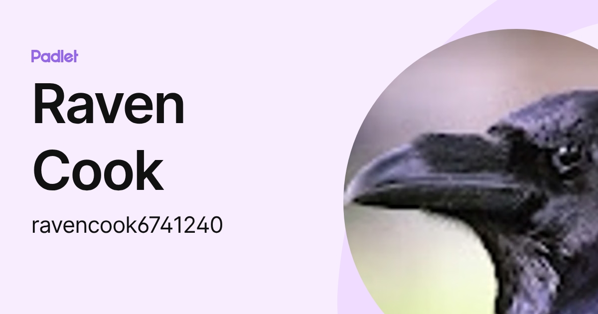 Raven Cook (ravencook6741240) profile | Padlet