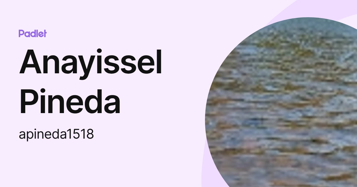 Anayissel Pineda (apineda1518) profile | Padlet