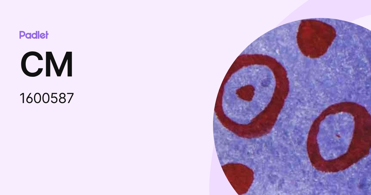 CM (1600587) profile | Padlet