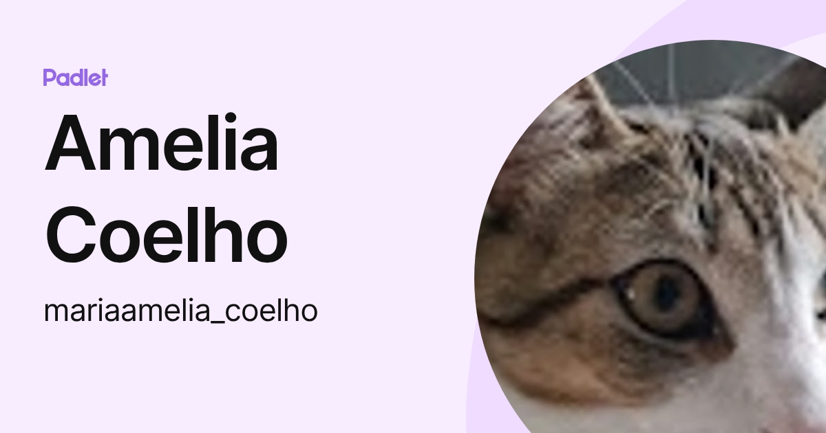 Amelia Coelho (mariaamelia_coelho) profile | Padlet